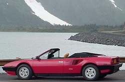 Ferrari 48193